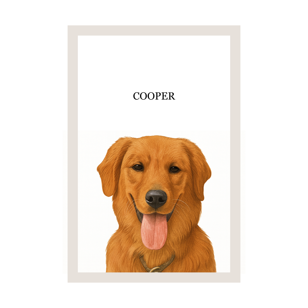 Illustration of a golden retriever named Cooper in a white frame.