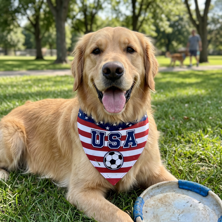 Country Flag Pet Bandana Cheer in Style | The Fur Print 🐾⚽