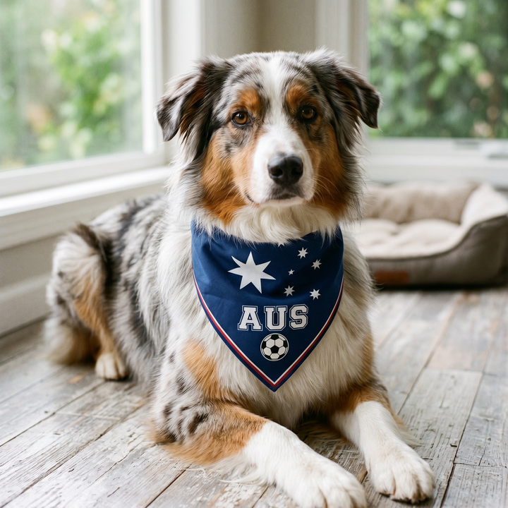 Country Flag Pet Bandana Cheer in Style | The Fur Print 🐾⚽