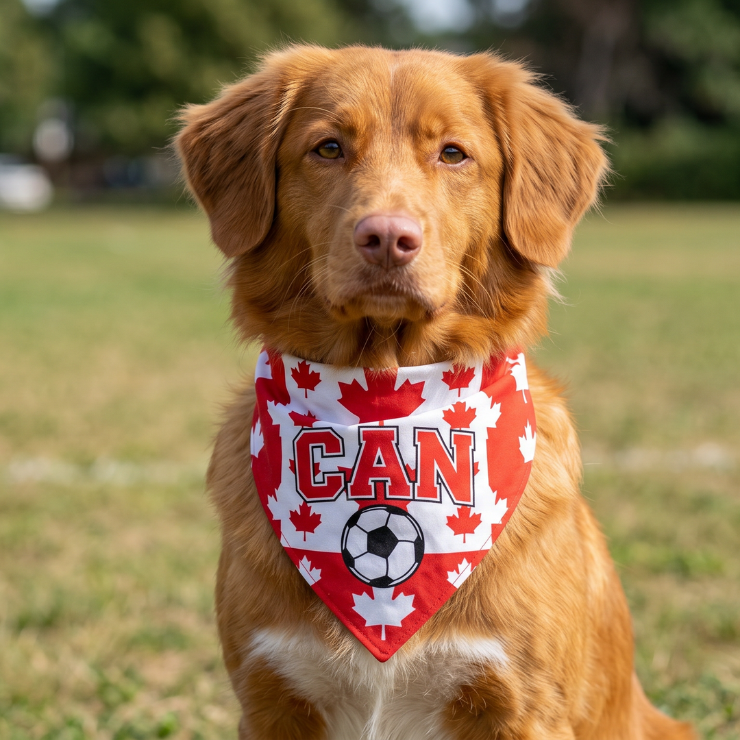 Country Flag Pet Bandana Cheer in Style | The Fur Print 🐾⚽