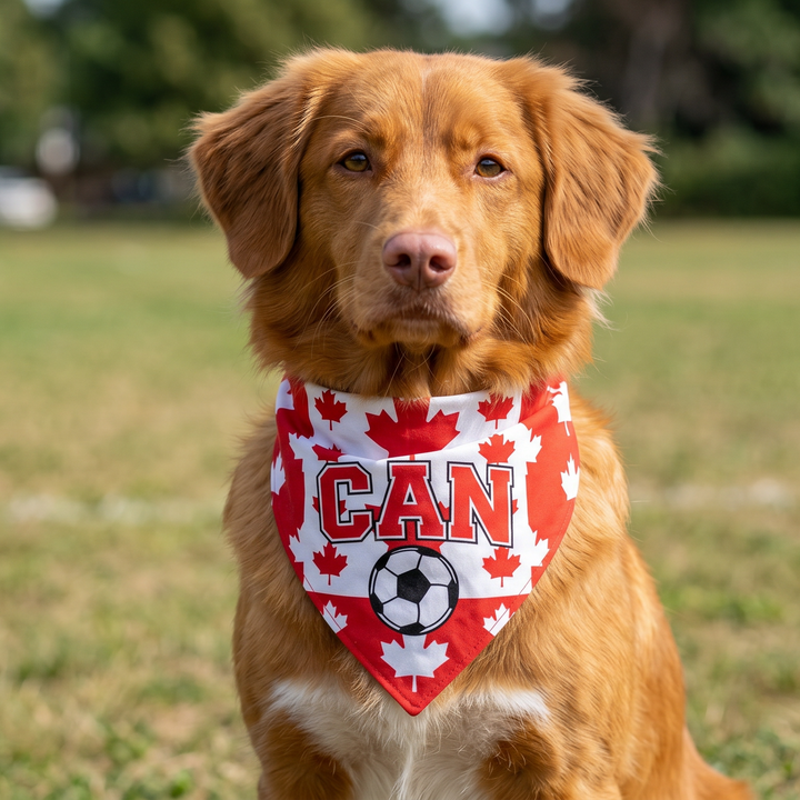 Country Flag Pet Bandana Cheer in Style | The Fur Print 🐾⚽