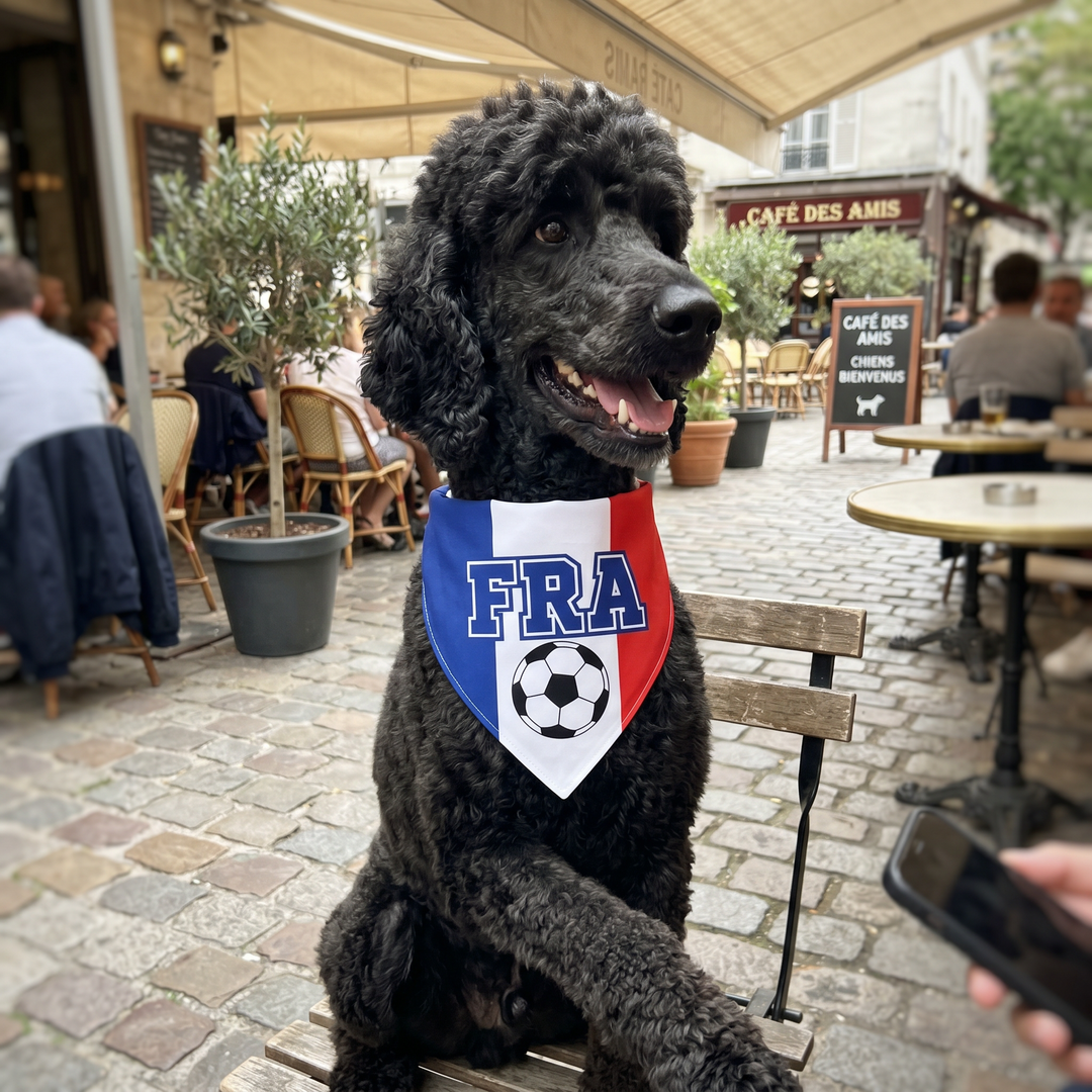 Country Flag Pet Bandana Cheer in Style | The Fur Print 🐾⚽