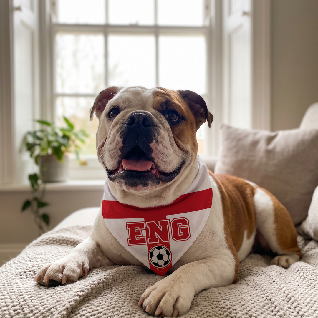 Country Flag Pet Bandana Cheer in Style | The Fur Print 🐾⚽