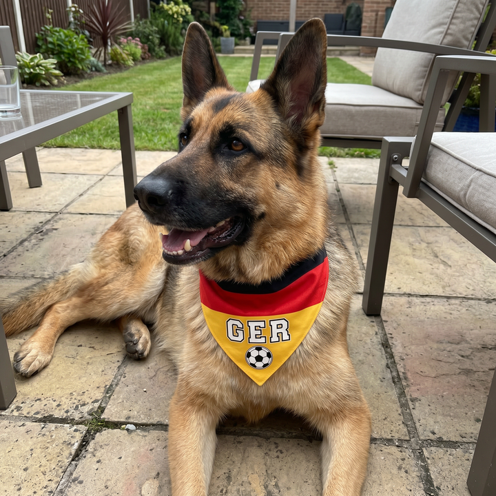 Country Flag Pet Bandana Cheer in Style | The Fur Print 🐾⚽