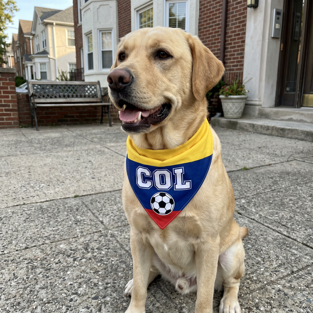 Country Flag Pet Bandana Cheer in Style | The Fur Print 🐾⚽