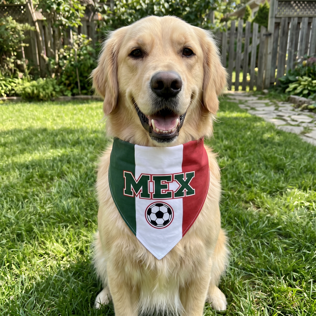 Country Flag Pet Bandana Cheer in Style | The Fur Print 🐾⚽