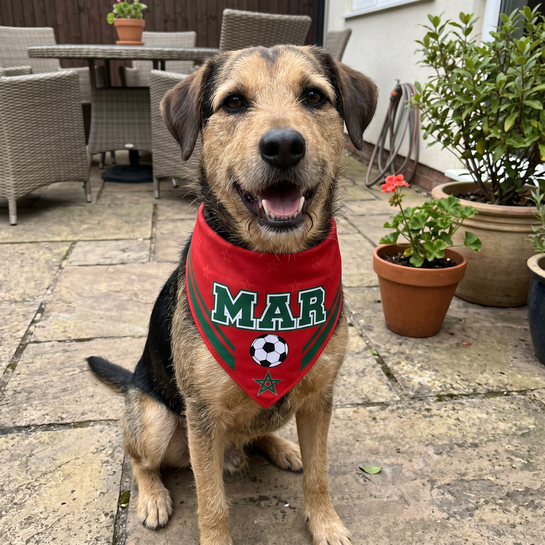 Country Flag Pet Bandana Cheer in Style | The Fur Print 🐾⚽